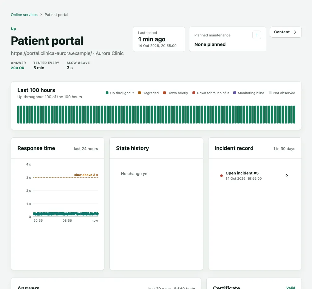 The Patient portal website’s page, up, with the 200 OK answer, the test interval, the last 100 hours, response time and the incident record
